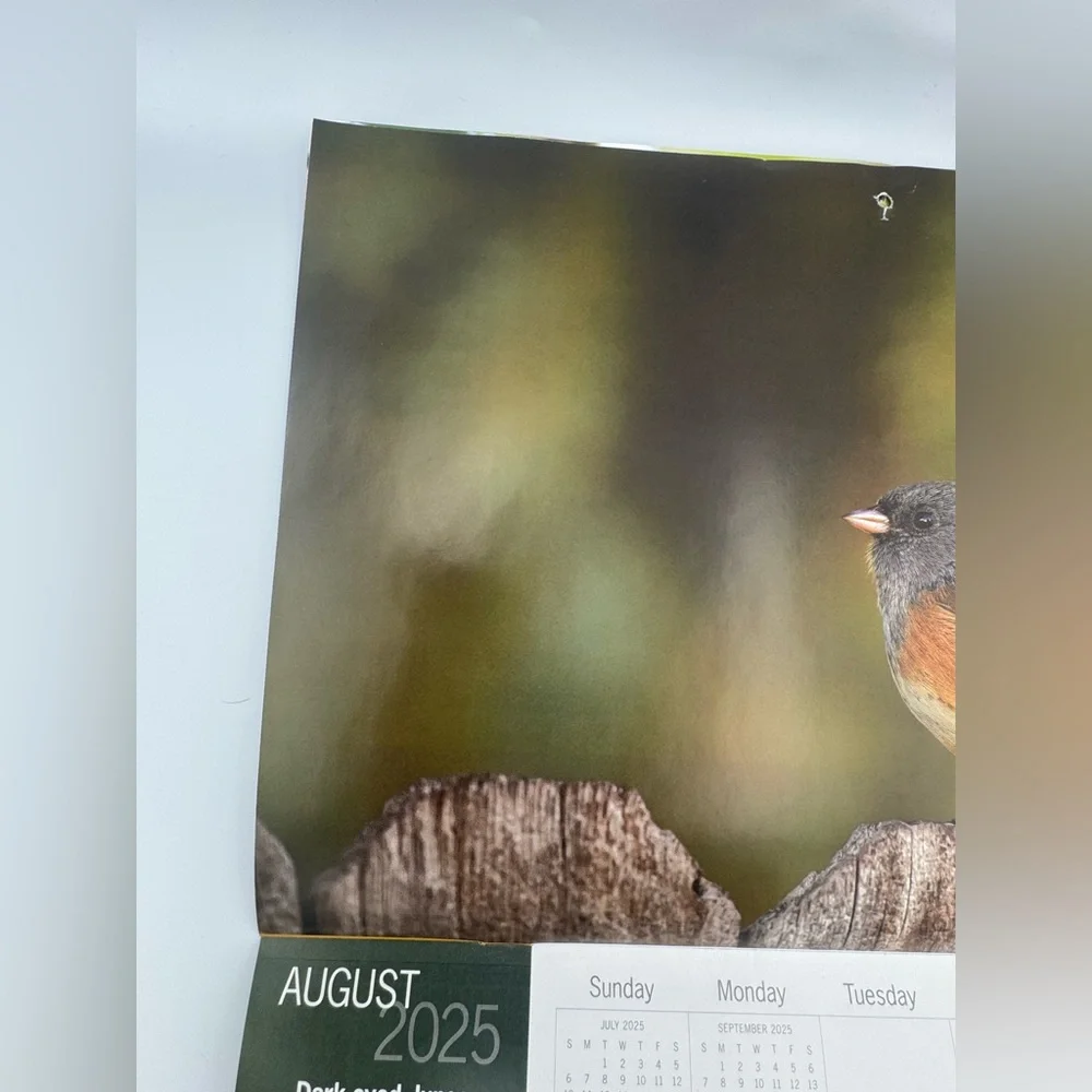 Wild Birds Unlimited 2025 Bird Photography Wall Calendar‎ Cornell BirdSpotter